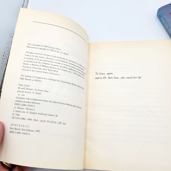 Vintage 90s Lot of 5 Horse Themed Young Adult Books Willow King National Velvet - Picture 4 of 12